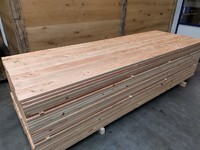 Foto 13 van 25x190MM Antislip 4000 MM Douglas