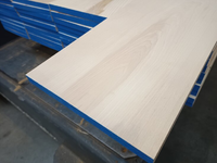 20x260 MM Essen Geschaafd