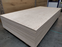 Foto 7 van 9mm Berken multiplex 125x250cm BB/BB