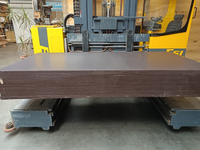 Foto 3 van 15MM Berken betonplex antislip 125x250cm