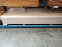 Foto 4 van 18MM berken meubelpaneel 60x250cm