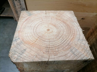 Foto 4 van 30X30CM Radiata pine 40 CM Hoog